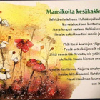 kortti ** Aarrepalo tai Polkutie Ajattele - erilaisia - pikkukuva 4