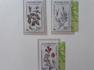Kazakstan 1999 - Kukkia (3)  ++