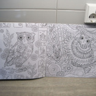 PÖLLÖ (owls) VÄRITYSKIRJA - pikkukuva 2