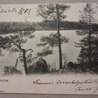 Leppävirta: Rantamaisema o (1906) - pikkukuva 1
