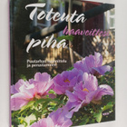 Toteuta haaveittesi piha : puutarhan suunnittelu ja perus... - pikkukuva 1