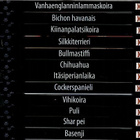 Suomen suosituimmat koirarodut - pikkukuva 1