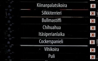 Suomen suosituimmat koirarodut
