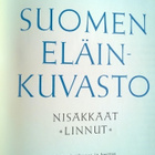 Pekka Nuorteva - Suomen Eläinkuvasto Kirja - pikkukuva 3