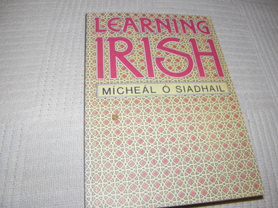 Mícheál Ó Siadhail Learning Irish  -nid