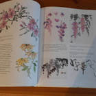 Pauline Cherrett:The Practical Art Of Chinese Brush Painting - pikkukuva 4