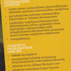 Elina Karvonen: Problematikka - pikkukuva 3