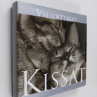 J. C. (toim.) Suares : Valloittavat kissat - pikkukuva 1