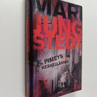 Mari Jungstedt : Pimeys keskellämme - pikkukuva 1