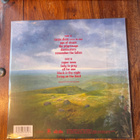 Saxon - Carpe Diem lp uusi - pikkukuva 2