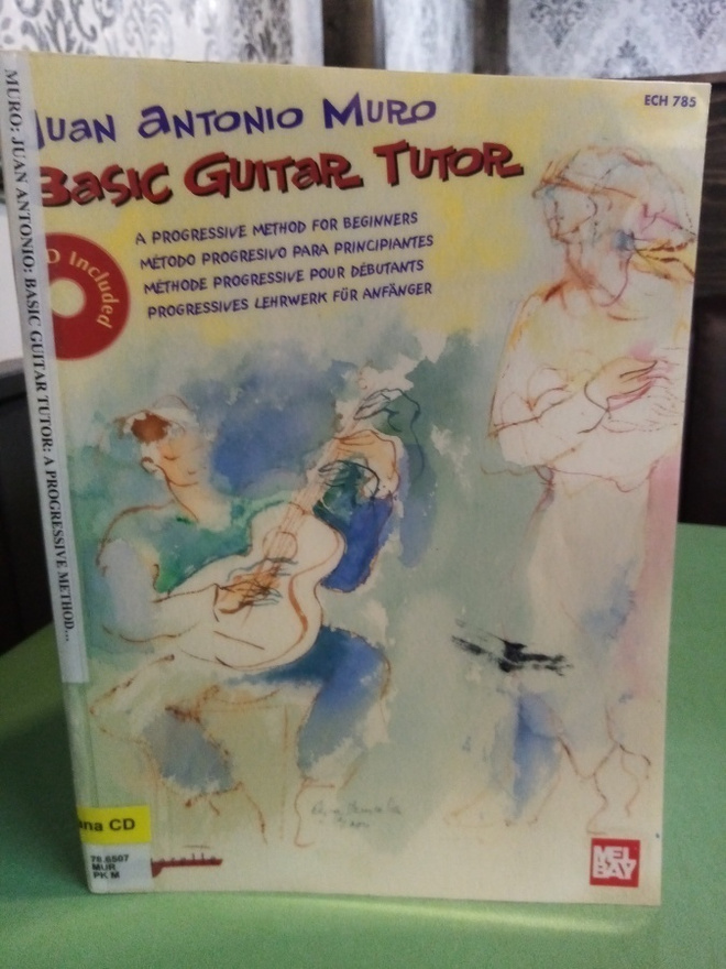Juan Antonio Muro : Basic guitar tutor ( SIS POSTIKULU)