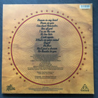 The Sewergrooves Constant Reminder LP Vinyl - pikkukuva 2