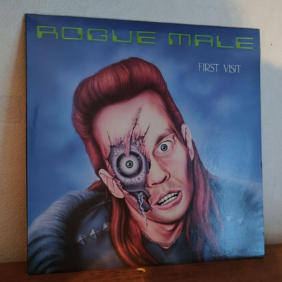 Rogue Male – First Visit LP