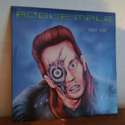 Rogue Male – First Visit LP - pikkukuva 1