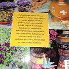 Kauniit ruukut – Simona Hill - pikkukuva 2