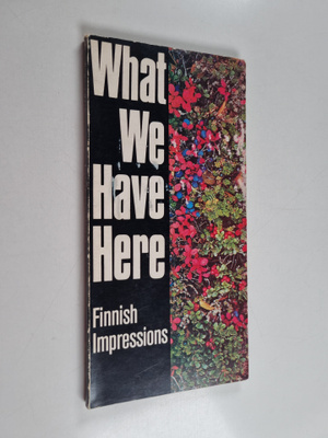 Erik Bruun : What we have here : Finnish impressions
