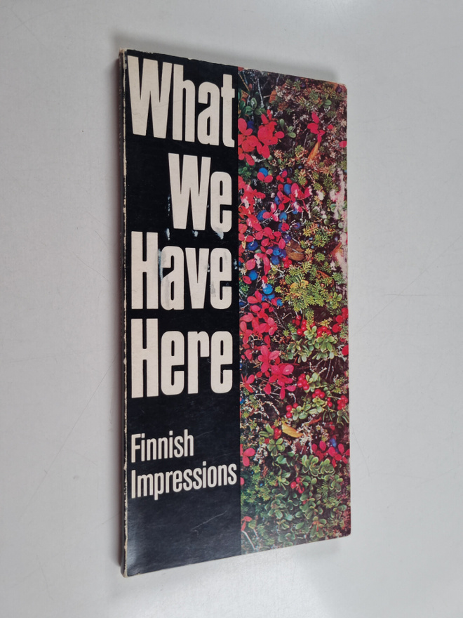 Erik Bruun : What we have here : Finnish impressions
