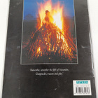 Peter Brimacombe : Guy Fawkes and the Gunpowder Plot - pikkukuva 2