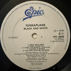 [LP] TERRAPLANE: BLACK AND WHITE - pikkukuva 3