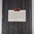 Hannu Hautala : My forest : full of life - pikkukuva 2