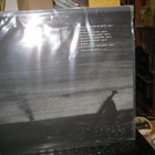 ZAVORASH - IN ODIUM VERITAS LP GER 2003 WHITE VINYL M-/M- - pikkukuva 2