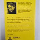 Kazuo Ishiguro : Menneen maailman maalari - pikkukuva 2