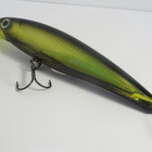 Rapala X-Rap magnum 12cm (erikoinen väri) - pikkukuva 2