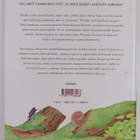 Eeva Furman : Kotipihasta korpimetsään - pikkukuva 2