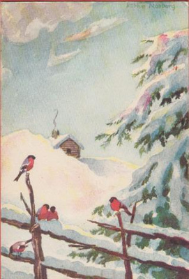 Käthe Norborg Punatulkut aidalla