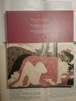 Kielletyt kuvat (sid.)