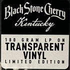 BLACK STONE CHERRY : Kentucky - LP, LTD, transparent, uusi - pikkukuva 5