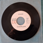 HURRIGANES Tallahassee Lassie/It Ain't What You Do 1974 1975 - pikkukuva 1