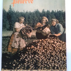 Pellervo No 16 lokakuu 1953 - pikkukuva 1