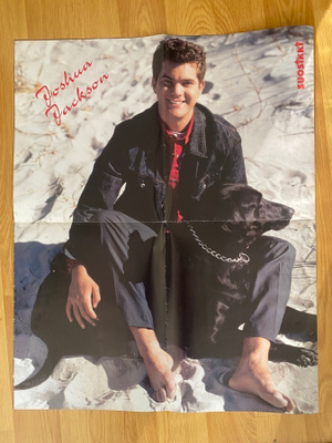 Dawsons Creek Joshua Jackson juliste