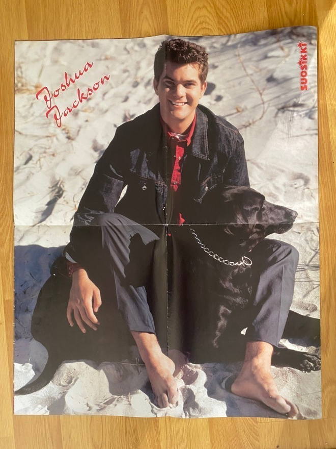 Dawsons Creek Joshua Jackson juliste