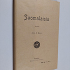 Niilo E. Wainio : Suomalaisia - pikkukuva 1