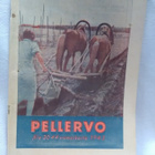 Pellervo No 20 lokakuu 1943 - pikkukuva 1