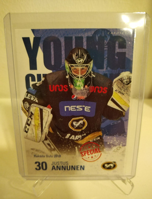 2018-19 Cardset Young Champions Special /100