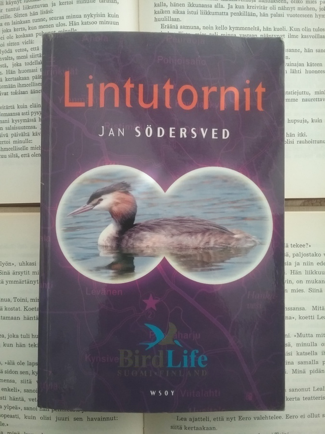 Jan Södersved - Lintutornit (nid.)
