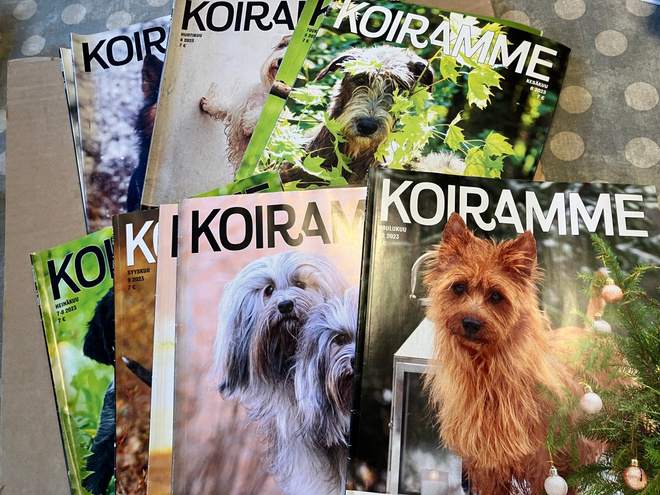 KOIRAMME LEHTI VUOSIKERTA 2023 HYVÄ