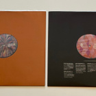 Grizzly Bear – Veckatimest (HUIPPULAATU 2xLP) - pikkukuva 3
