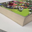 Inorganic Chemistry (Housecroft & Sharpe, 2E, 2005) - pikkukuva 3