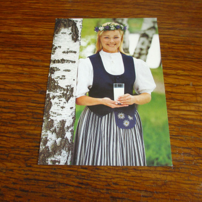 minimoi pk 1023 maitotyttö 1999 marika kivimäki kulkematon