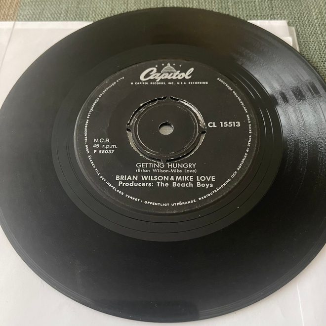 BRIAN WILSON * MIKE LOVE: Getting Hungry * Devoted ... *SWE