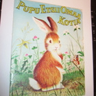 Tammen Hopeiset Kirjat 53:  Pupu etsii omaa kotia (1977) - pikkukuva 1