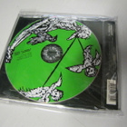 REVEREND BIZARRE - TEUTONIC WITCH - 2007 PAINOS UUSI CDS - pikkukuva 2