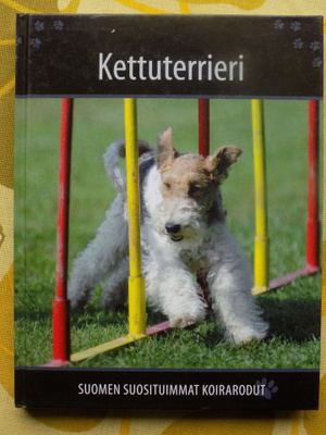 KETTUTERRIERI - Suomen suosituimat koirarodut