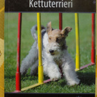 KETTUTERRIERI - Suomen suosituimat koirarodut - pikkukuva 1