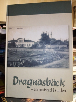 DRAGNÄSBÄCK - en småstad I staden