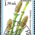 Åland 2001  Itiökasveja  3,50 mk EP alareuna LOISTO LaPe 189 - pikkukuva 1